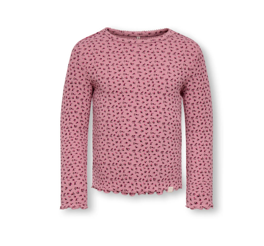 Only Mini Trinny - Ls Top - Foxglove Aw Disty Flower -   Cm