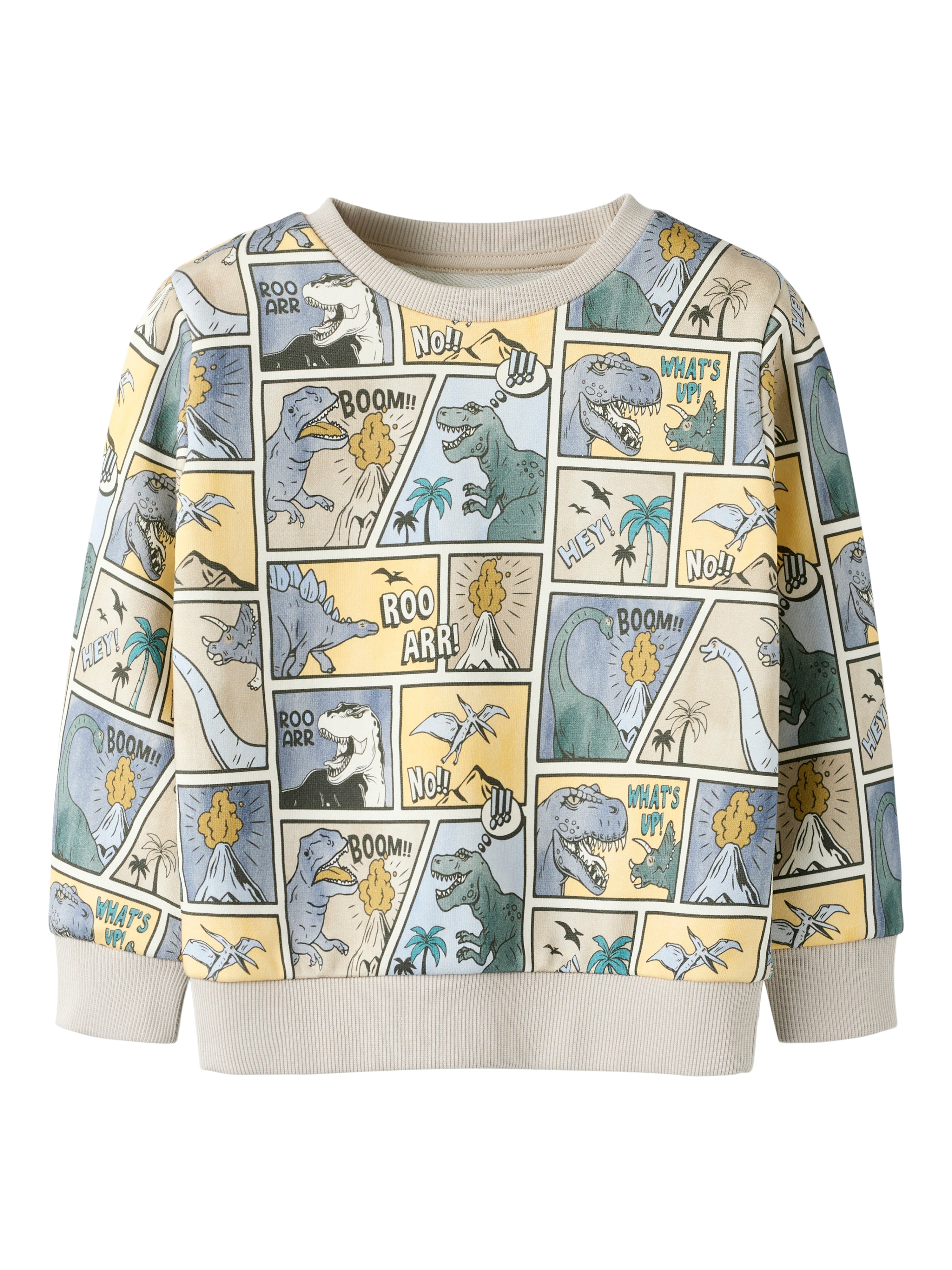 Sikalas Sweatshirt med Dino Print - Økologisk Bomuld