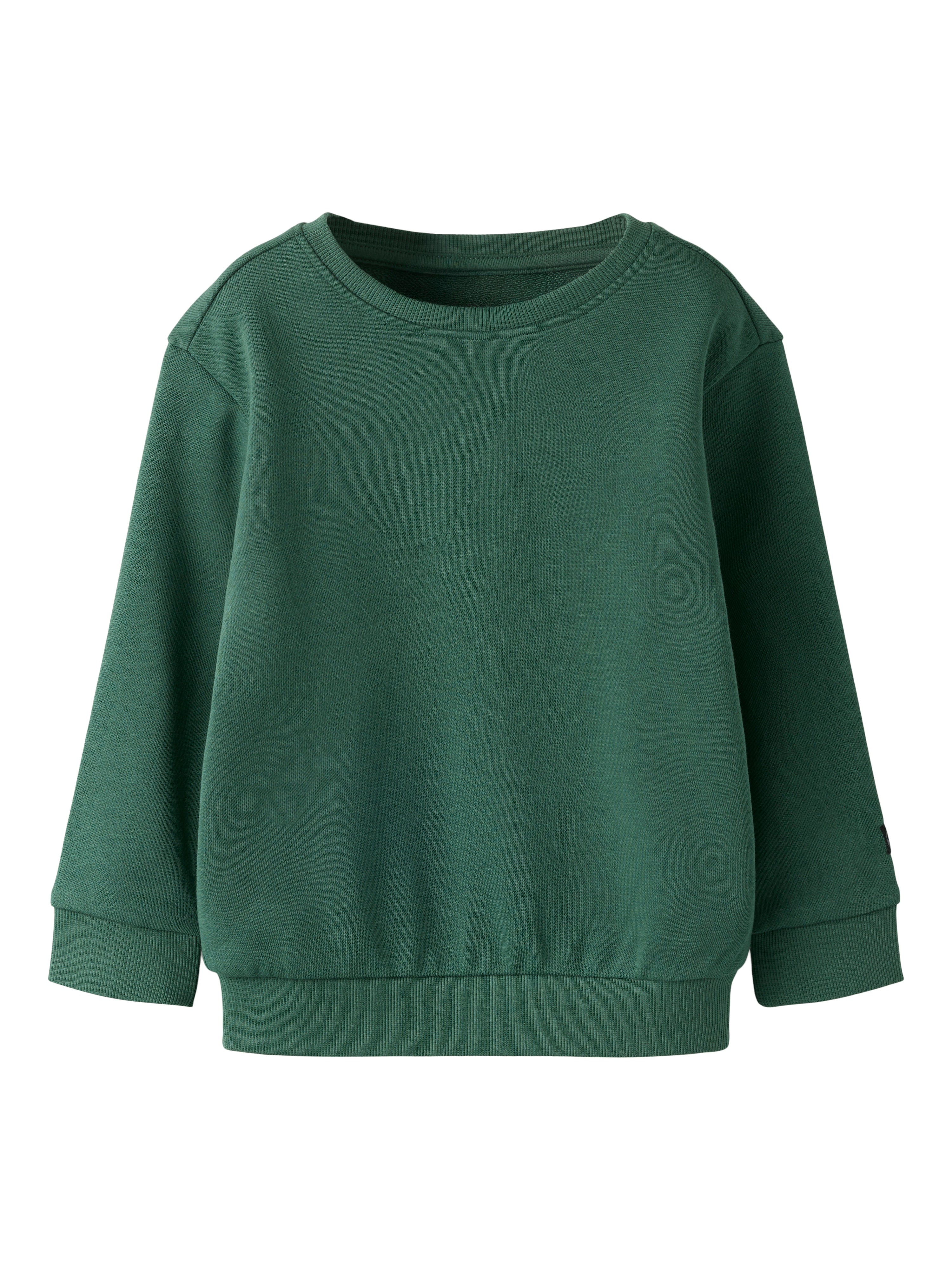 Name It Franco - Ls Sweatshirt - Garden Topiary -   Cm